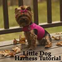 Little Dog Harness Tutorial